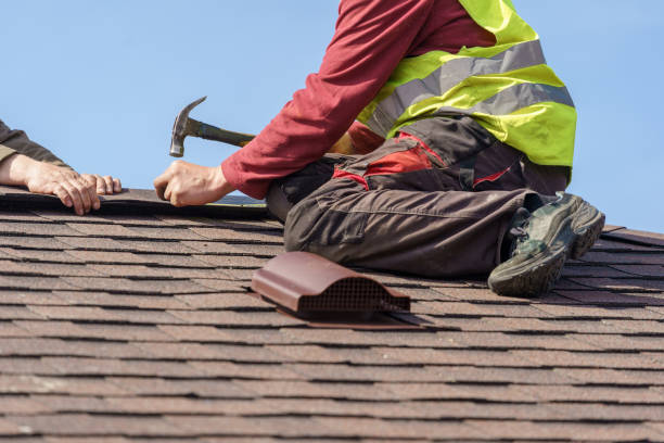 Best Roof Waterproofing Services  in River Rouge, MI