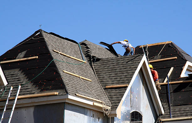 Best Storm Damage Roof Repair  in River Rouge, MI