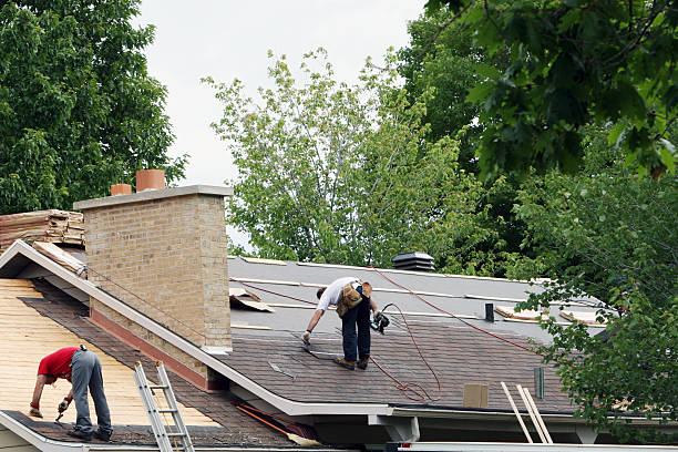 Best Roof Maintenance Services  in River Rouge, MI