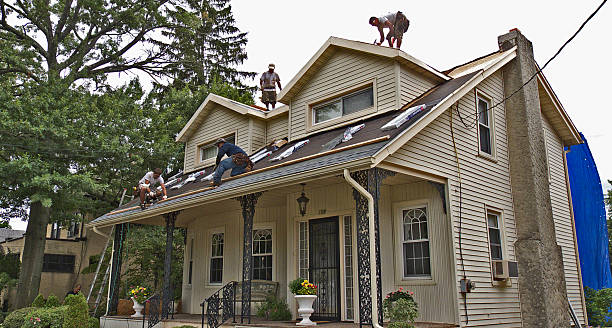 Best Roof Repair Services  in River Rouge, MI