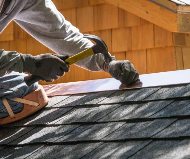 Best Roof Gutter Cleaning  in River Rouge, MI